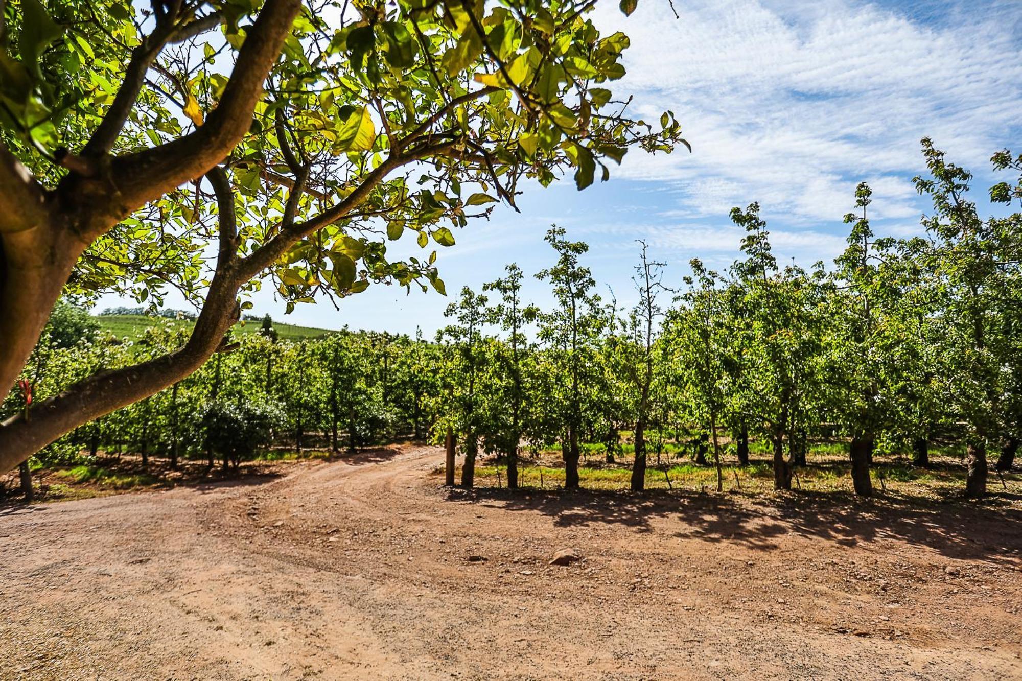 Galileo Farm Villa Елгин Екстериор снимка