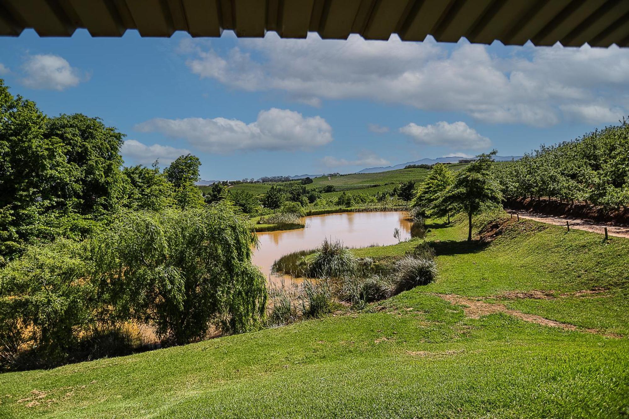 Galileo Farm Villa Елгин Стая снимка