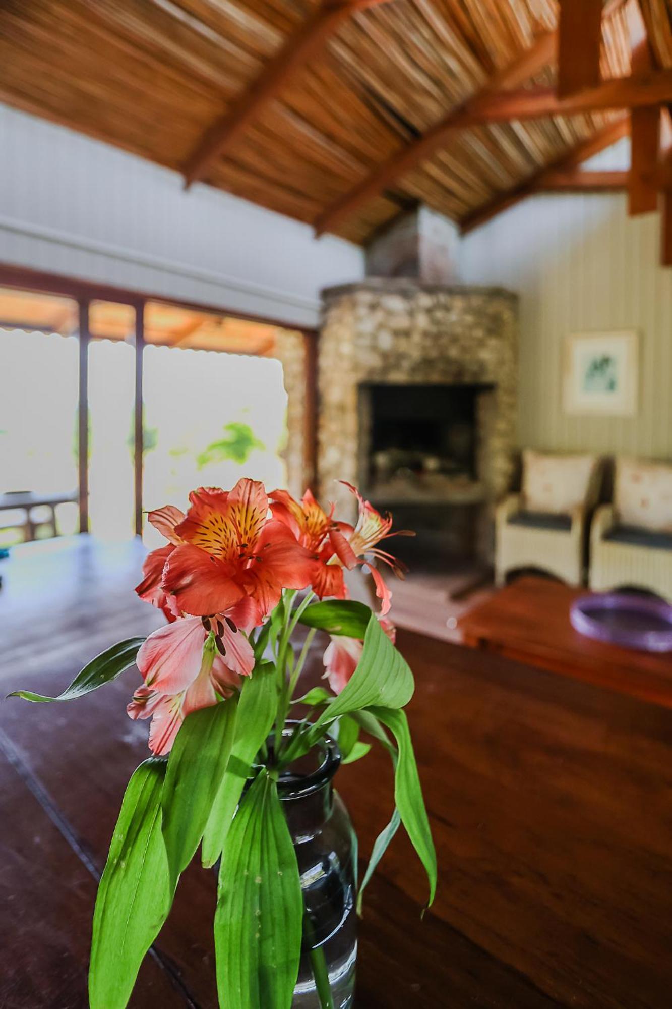 Galileo Farm Villa Елгин Стая снимка