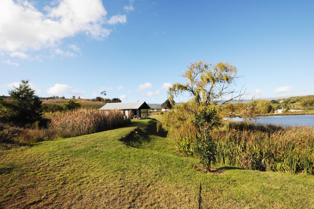 Galileo Farm Villa Елгин Екстериор снимка