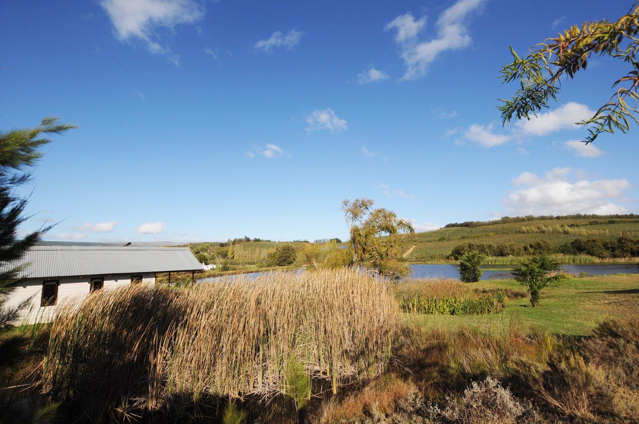 Galileo Farm Villa Елгин Екстериор снимка